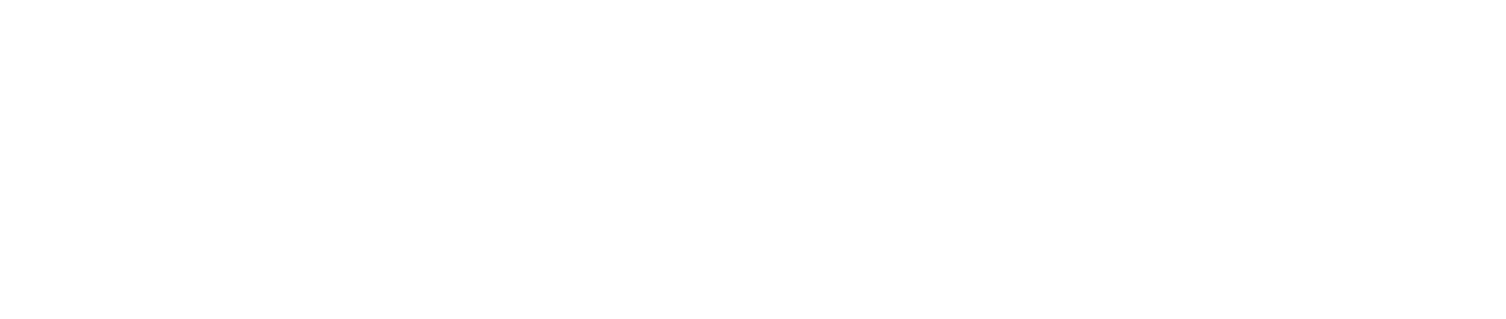 VinUniversity Logo